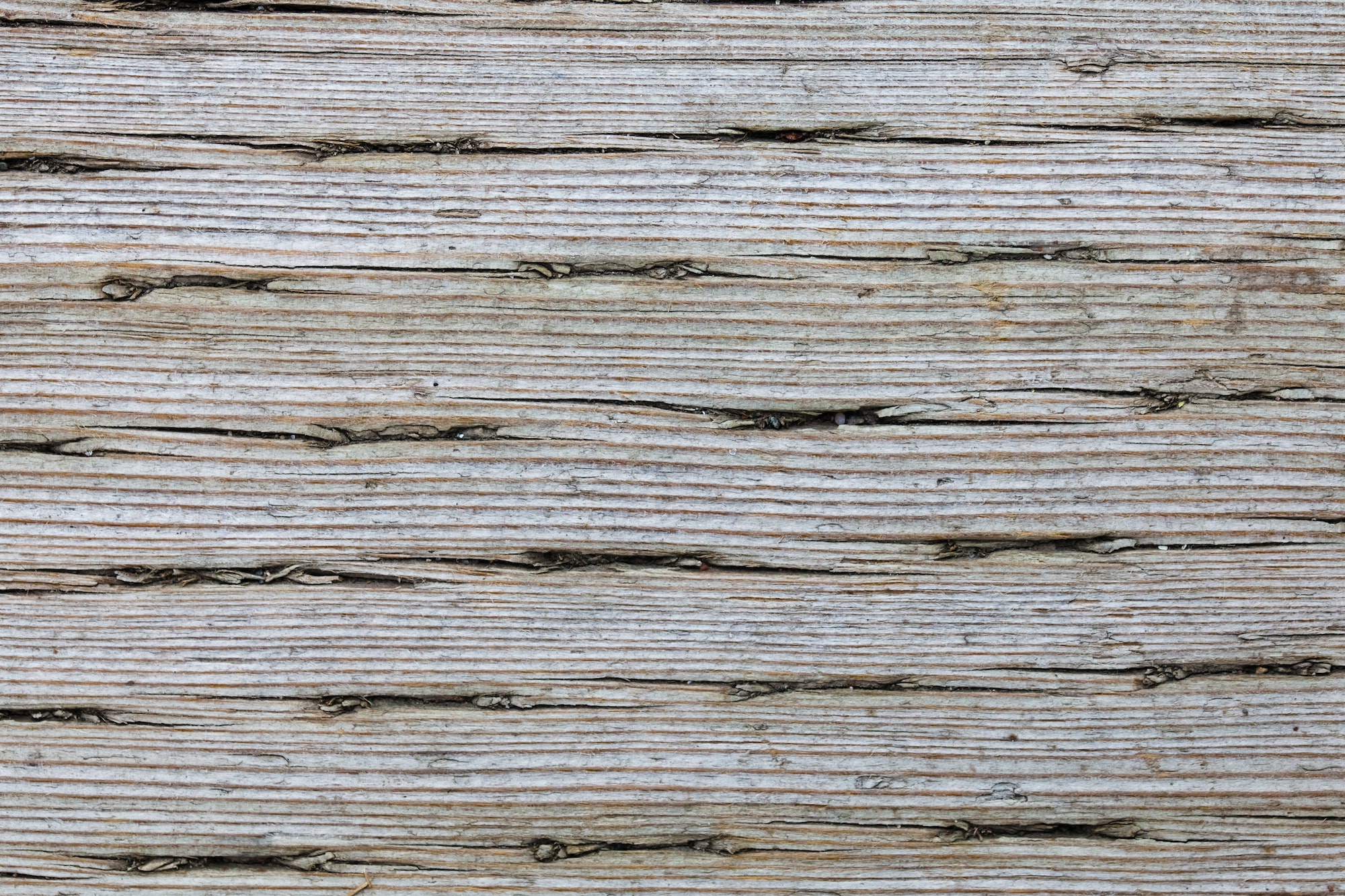 Old Pressure Treated Wood Macro Texture